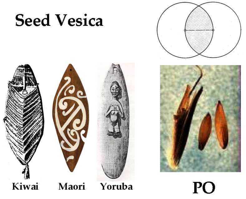 Slide 14 — Dogon Po and fonio grass seed