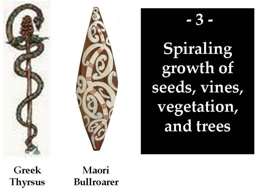 Slide 22 — Spiraling growth of seeds and vegetation