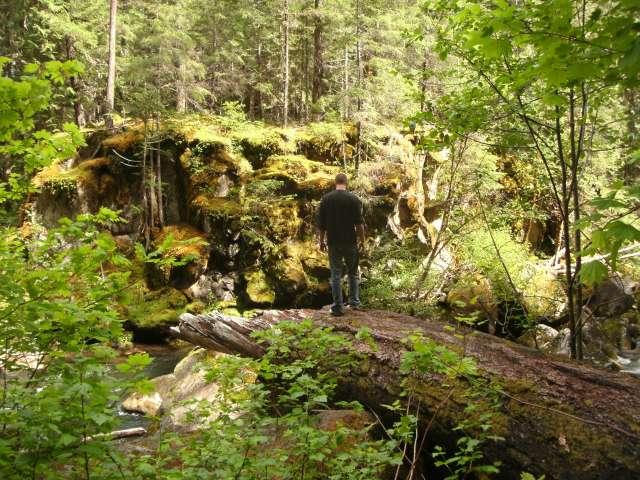 Trail leading to Toketee Falls