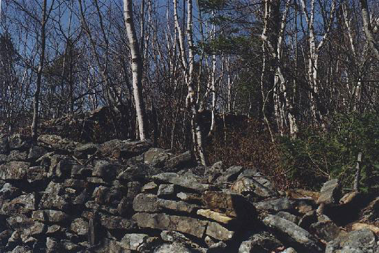 Early spring shot of the walls among the trees